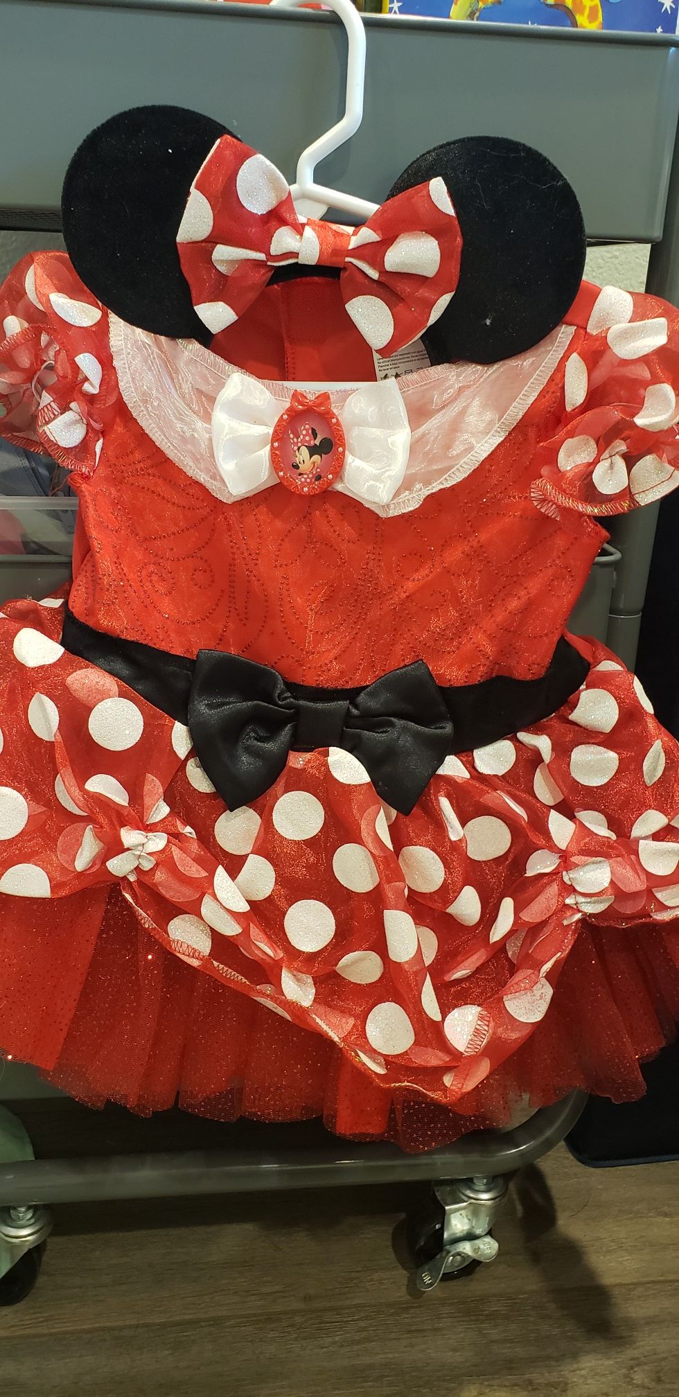 Minnie Mouse Costume