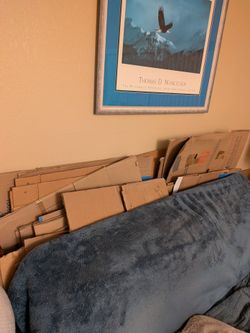 FREE MOVING BOXES 20-30 Count