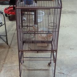 Bird Cage 