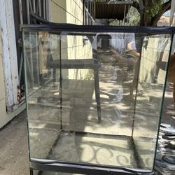 Lizard Or Snake Tank