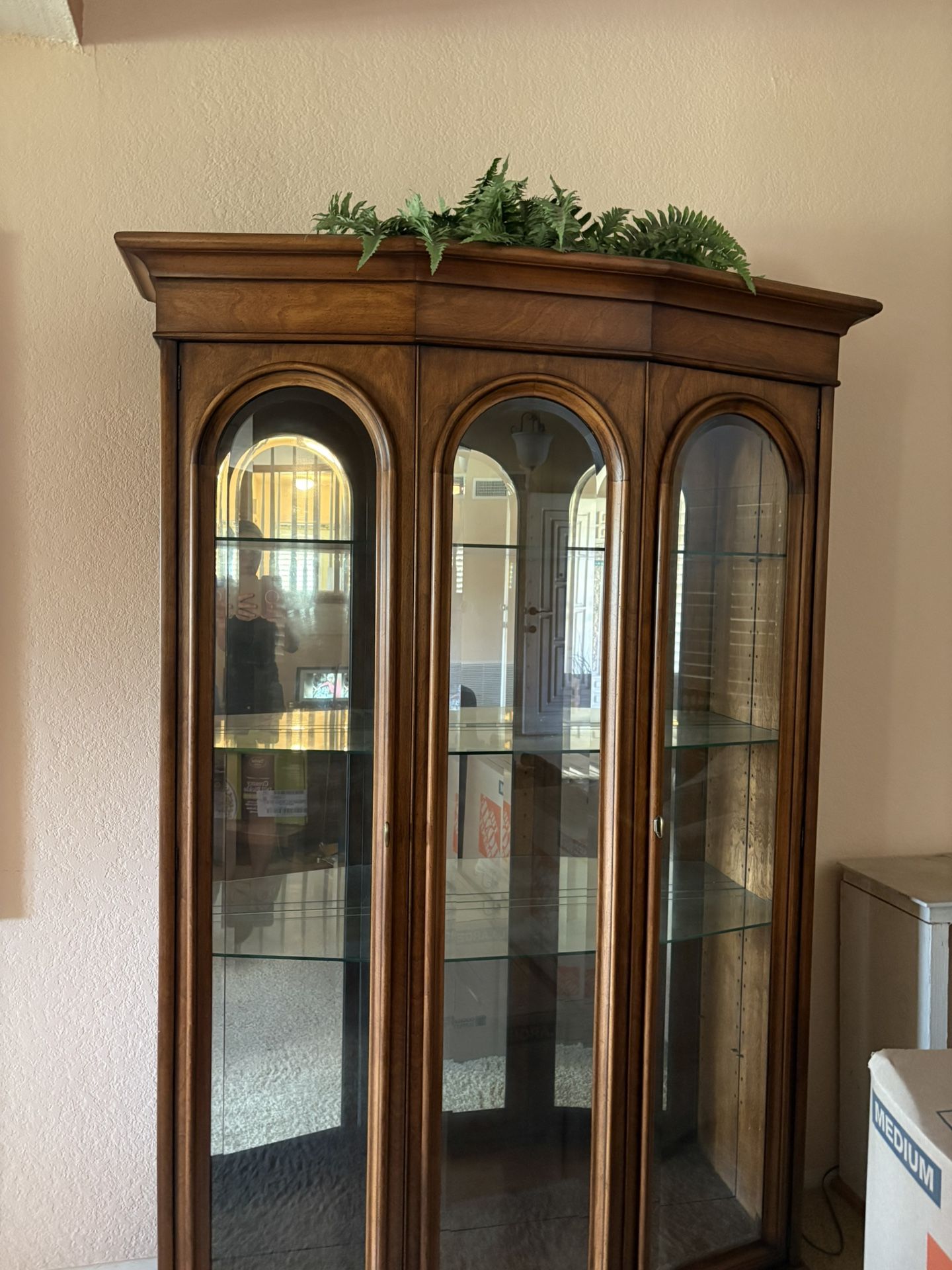 Elegant Glass Display / Curio Cabinet with Shelves