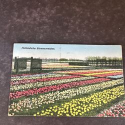 1929 Holland Flower Fields Postcard Amsterdam 7.5 Cent Stamp Netherlands