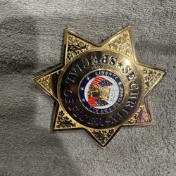 Professional Star Security Badge
