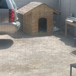 Dog House