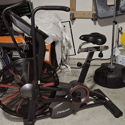 Syedee Assault/Fan Bike