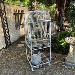 Bird Cage Decorative Wrought Iron 