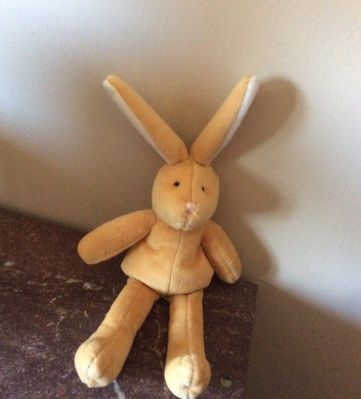 Brown Rabbit