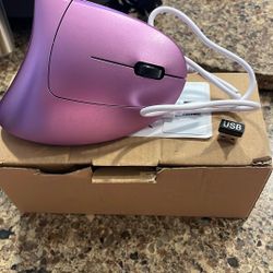 Ergonomic Mouse Wireless (New)