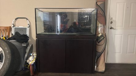 100 gallon aquarium