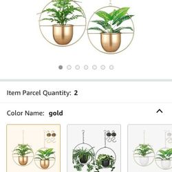 Gold Planter For Indoors and Outdoors