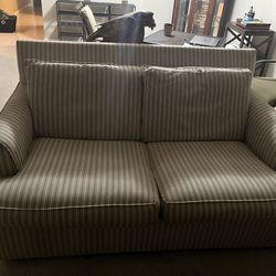 2  Separate Love Seat couches