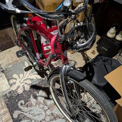 Rio Grande Kent Beach Cruiser