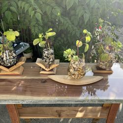 Recycled Wine Barrel Crafts 