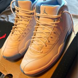 Jordan 12’s Size 9