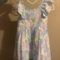 2T Girls Dresses