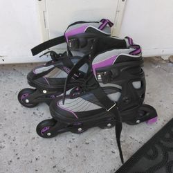 Roller Blades 