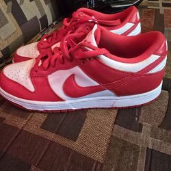 Nike dunks size 10