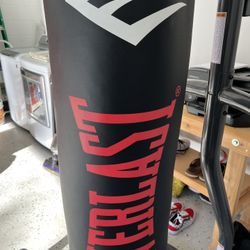 Everlast Dual Station Bag Stand & NevaTear 70lb Hanging Punching Bag