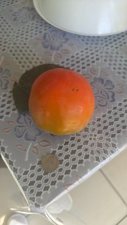 Organic pesticide free local persimmons