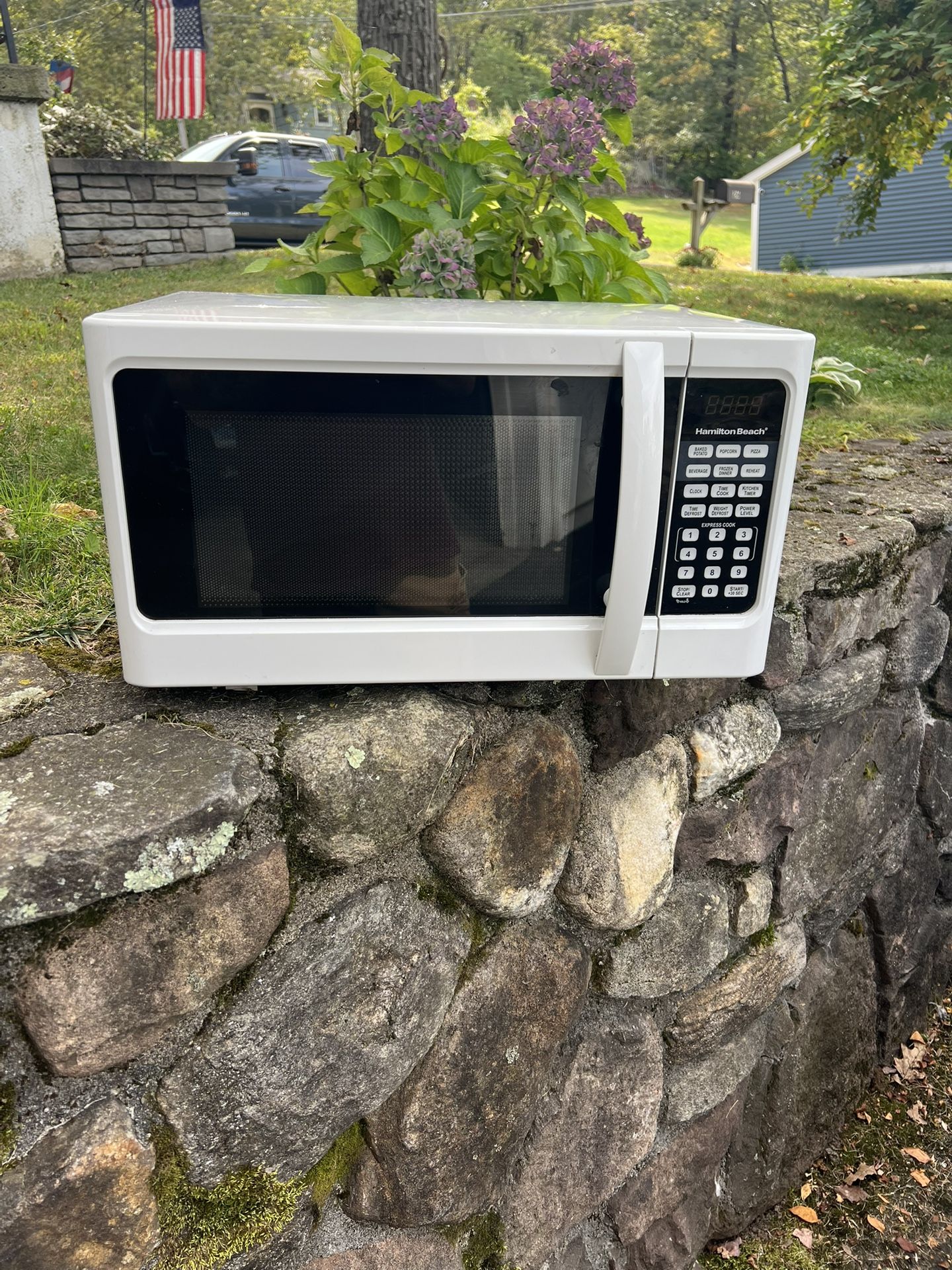 Microwave