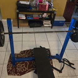 Bench Press/10lb Plates/Pull-up Bar