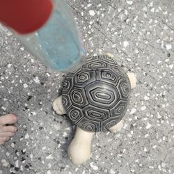 Decorative Outdoor Turtle 
