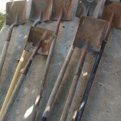 8. PALAS POR 100 TODAS