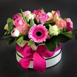 Pink roses,rosas rosadas