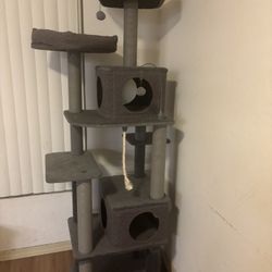 Cats House