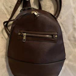 Crossbody Purse. New w/tags.