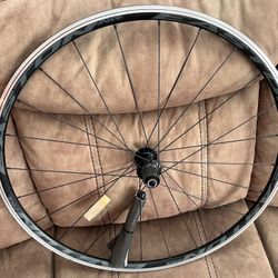 Easton AXR Rear Rim 
