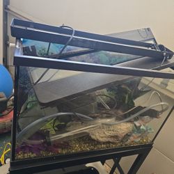 Fish Tank - No Fish Included