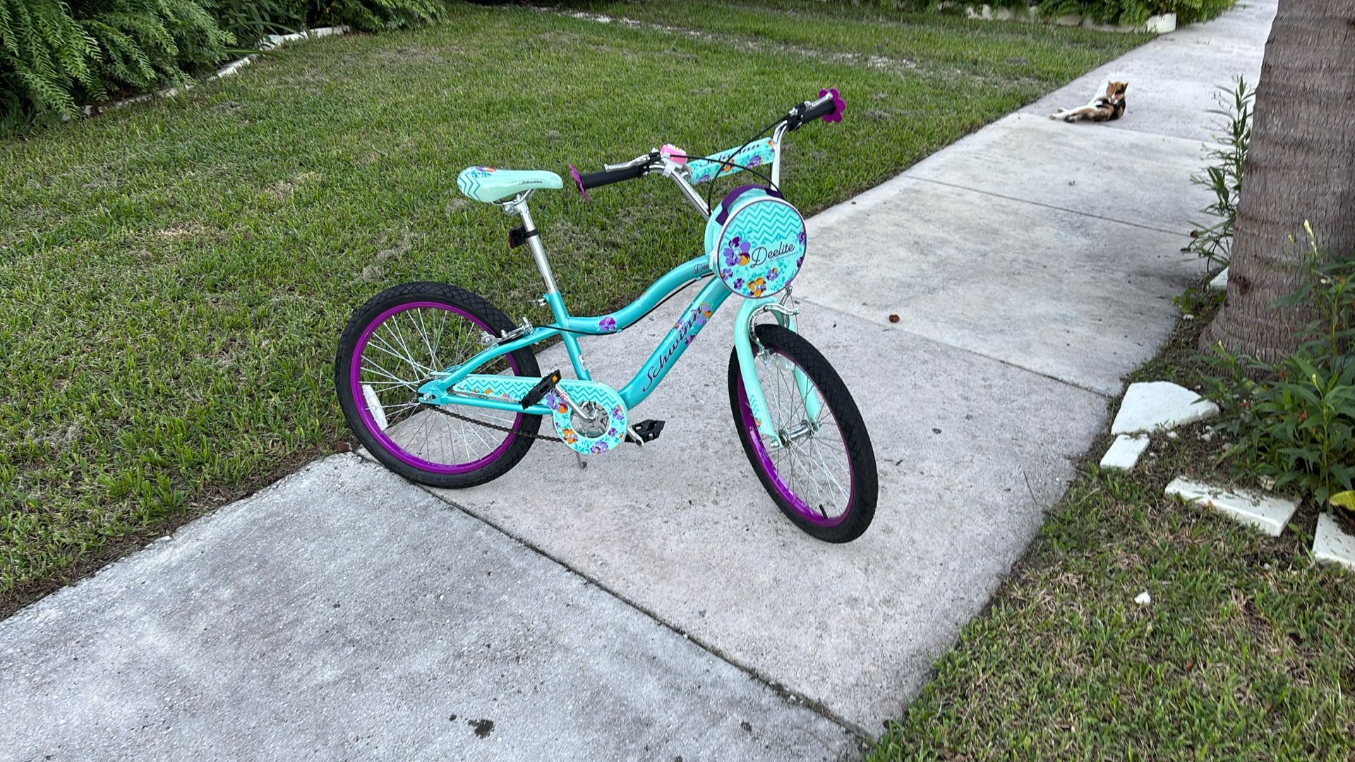 Schwinn Delight, 20 Inch Girls Bicycle