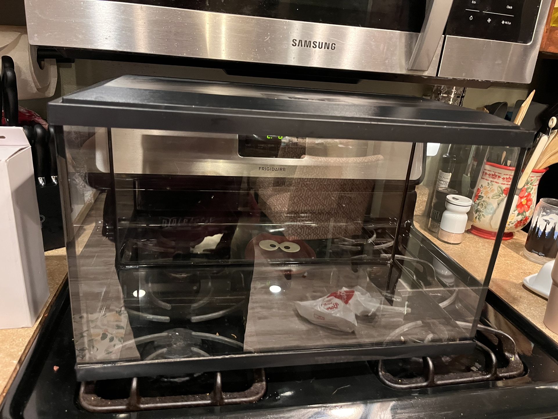 10 Gallon Tank