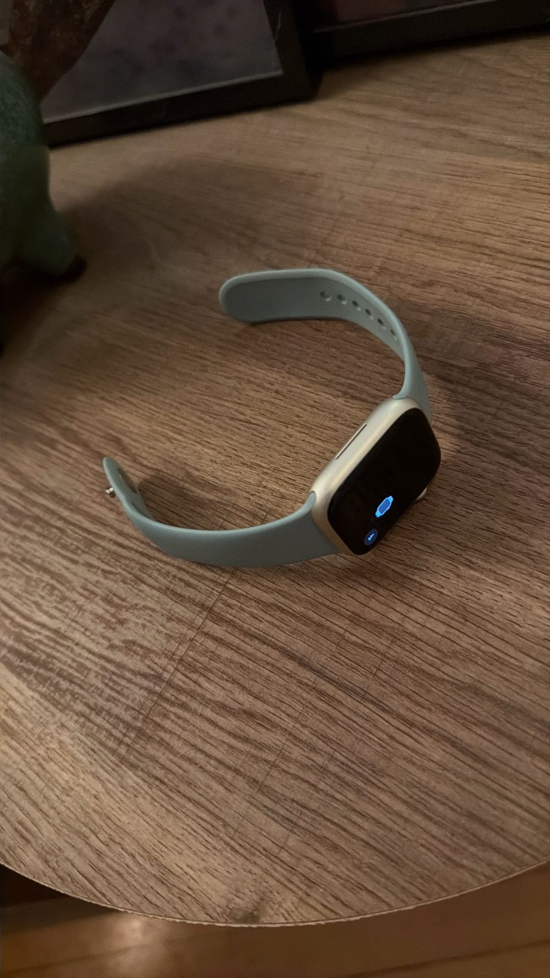 Apple Watch Series 9