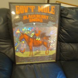GOV ' T. MULE.  POSTER. FRAMED