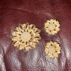 Charel Brooch And Clip On Earrings 
