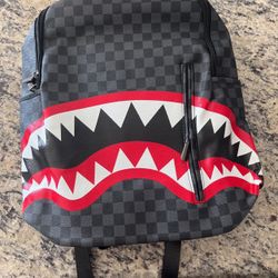 Spray Ground Backpack 