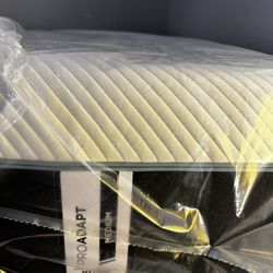 Tempur Pedic Pro Adap Mediun