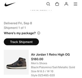 Air Jordan 1 Retro High OG