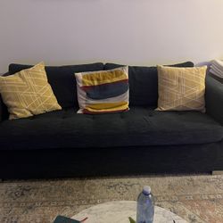 Article Loveseat Sofa Bed