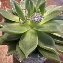 14k White Gold Rings