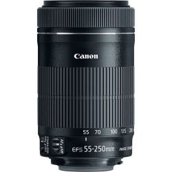 Canon EF-S 55-250mm f/4- 5.6 IS STM Telephoto Zoom Lens