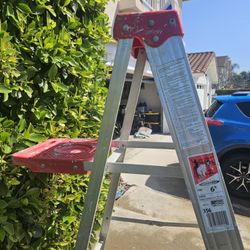 Ladder 6 foot