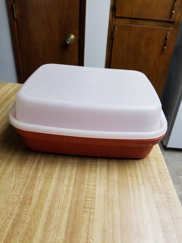 Vintage Tupperware Marinator Container