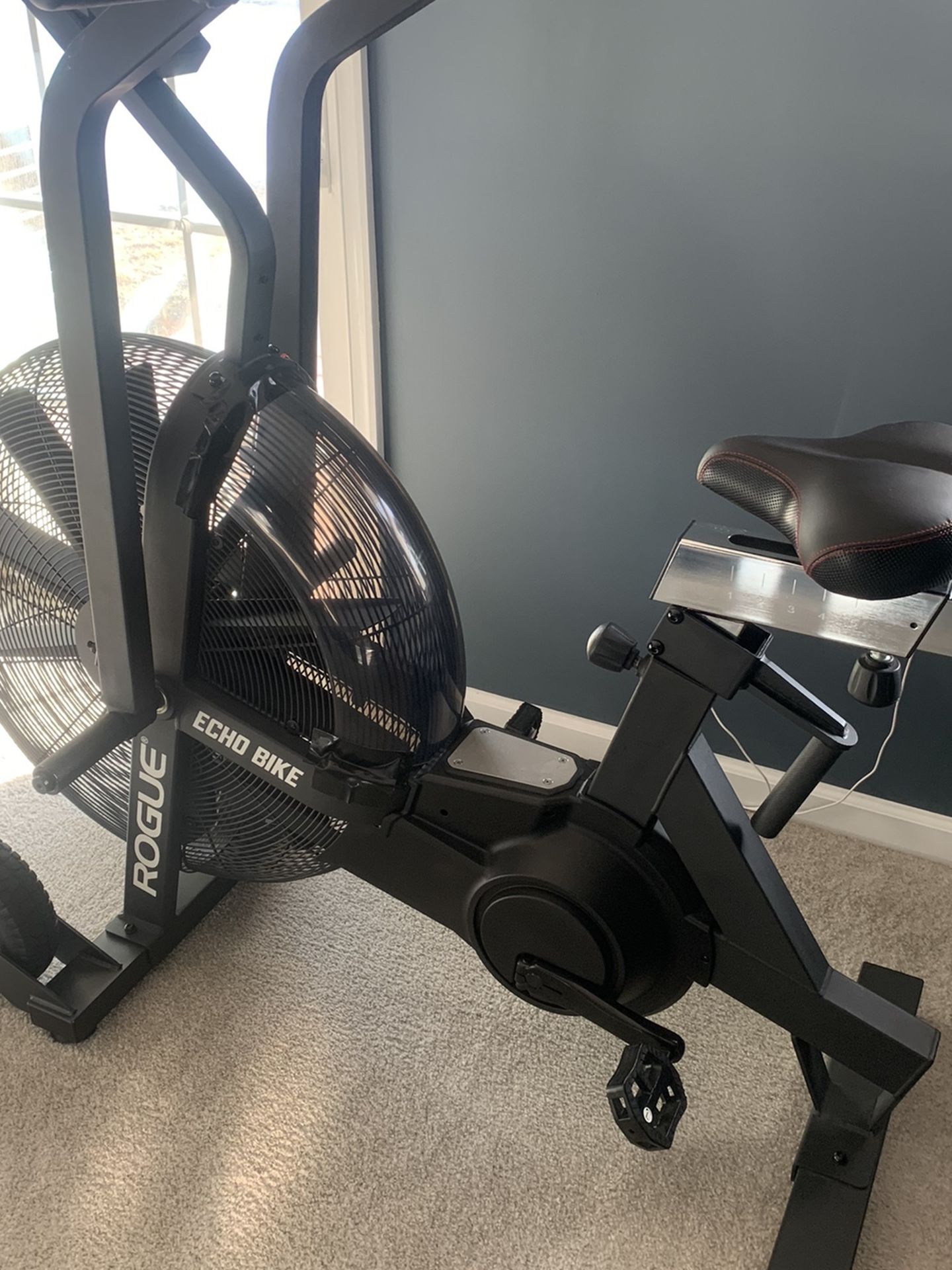 Rogue Echo Bike