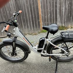 Rad Rover 1 St Bike Like New