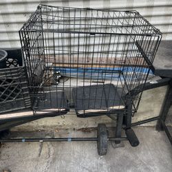 Dog Kennel