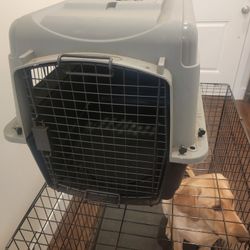 Medium Dog Kennels (2)