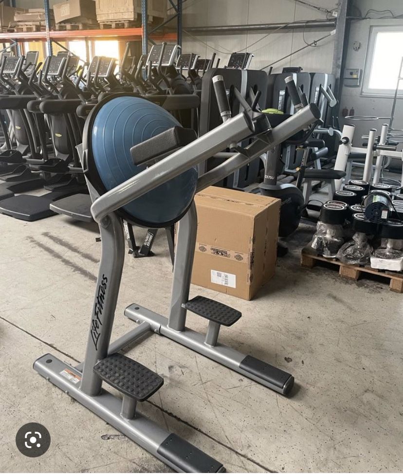 Life Fitness Signature Series Bosu Leg Raise